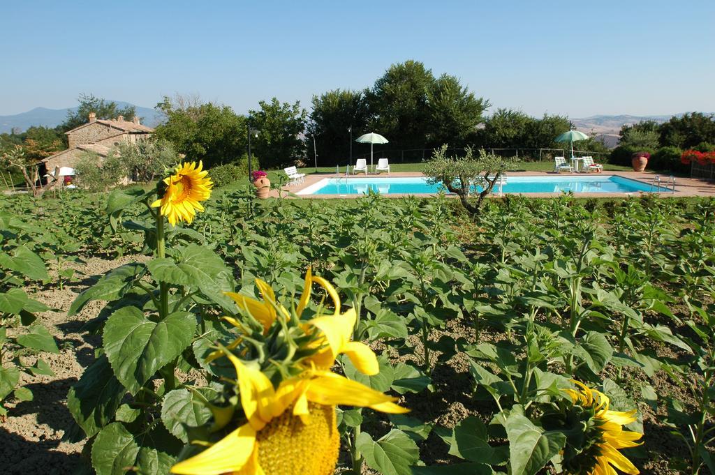 Villa Agriturismo Poggio Porsenna - Con Piscina à Proceno Extérieur photo