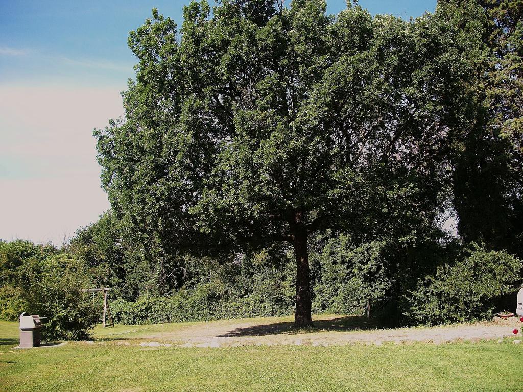 Villa Agriturismo Poggio Porsenna - Con Piscina à Proceno Extérieur photo